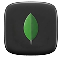 MongoDB